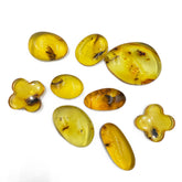 Lemon Amber Free Shape Cabochon With Insects
